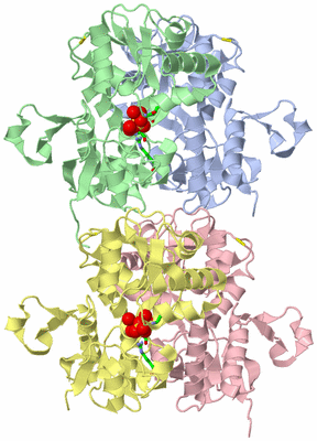 Image Biol. Unit 1 - sites