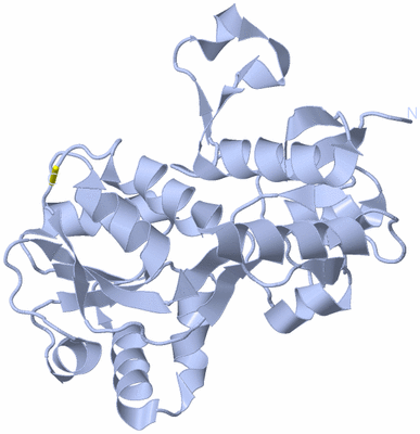 Image Biological Unit 3