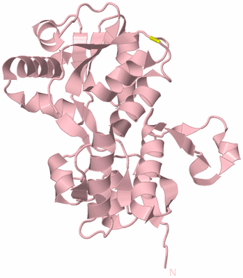 Image Biological Unit 4