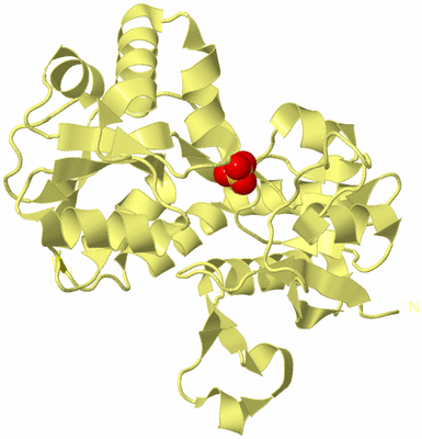 Image Biological Unit 5