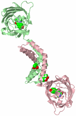 Image Biological Unit 1