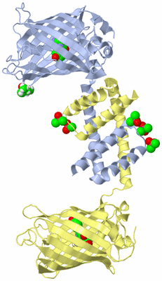 Image Biological Unit 2