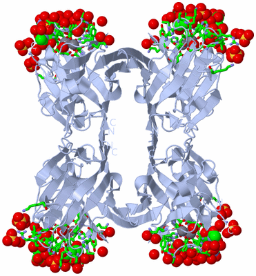 Image Biol. Unit 1 - sites