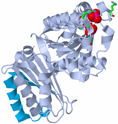 Image Biol. Unit 1 - sites