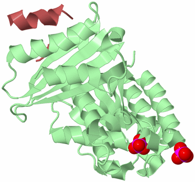 Image Biological Unit 2