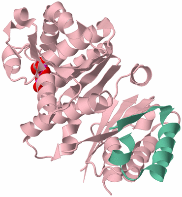 Image Biological Unit 3