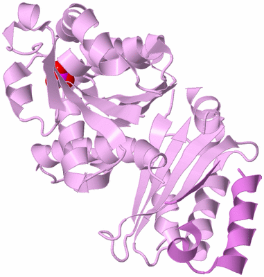 Image Biological Unit 5