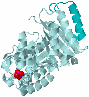 Image Biological Unit 6