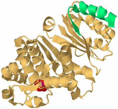 Image Biological Unit 7