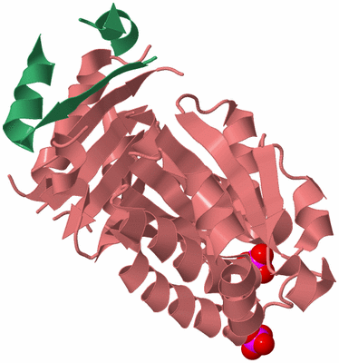 Image Biological Unit 8