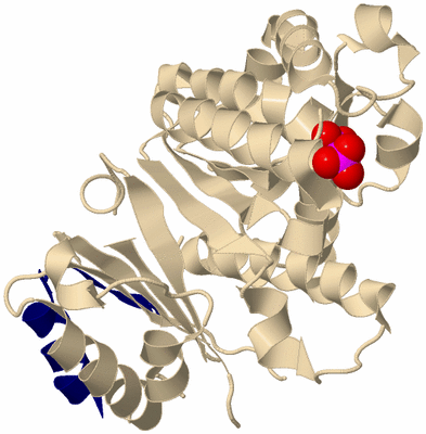 Image Biological Unit 9