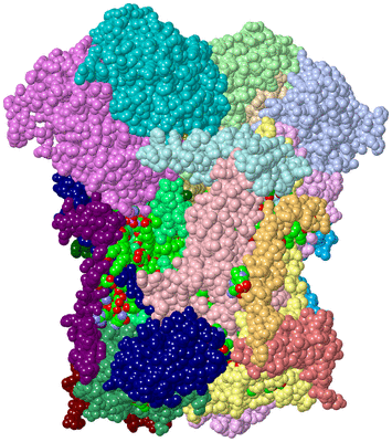 Image Asym./Biol. Unit - sites