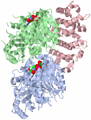 Image Asym./Biol. Unit