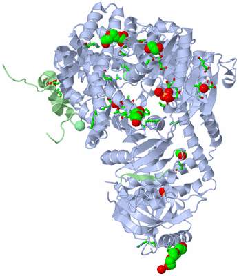 Image Asym./Biol. Unit - sites