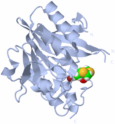 Image Biological Unit 1