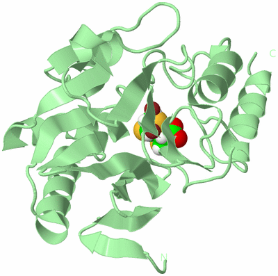 Image Biological Unit 2