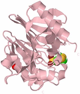 Image Biological Unit 3