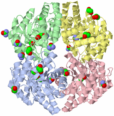 Image Asym./Biol. Unit