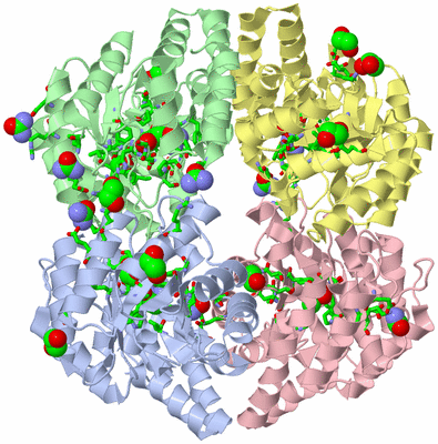 Image Asym./Biol. Unit - sites