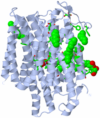 Image Biol. Unit 1 - sites