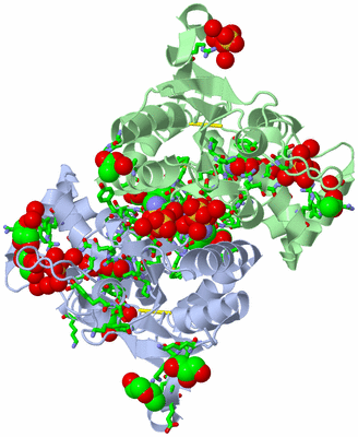 Image Asym./Biol. Unit - sites