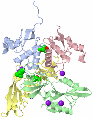 Image Asym./Biol. Unit