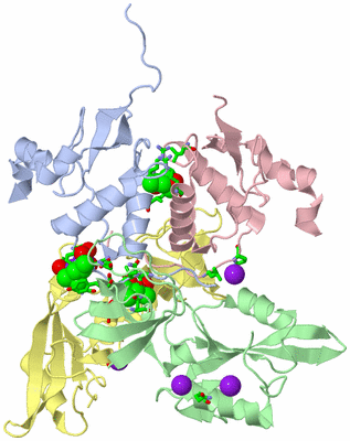 Image Asym./Biol. Unit - sites