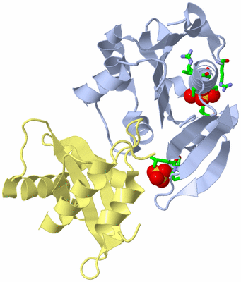 Image Asym./Biol. Unit - sites