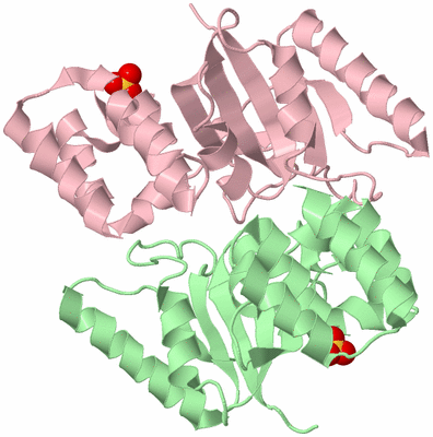 Image Biological Unit 2