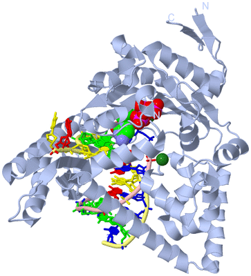 Image Biological Unit 1