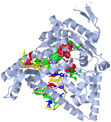 Image Biol. Unit 1 - sites