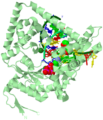 Image Biological Unit 2