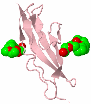 Image Biological Unit 3