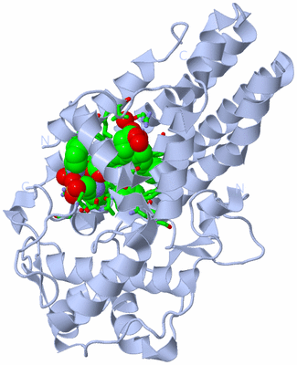 Image Biol. Unit 1 - sites