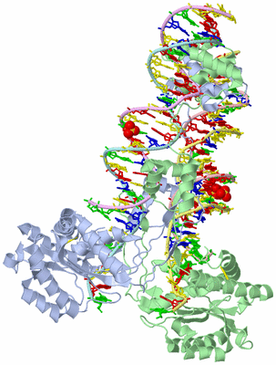 Image Biological Unit 1