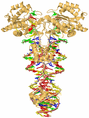 Image Biological Unit 2