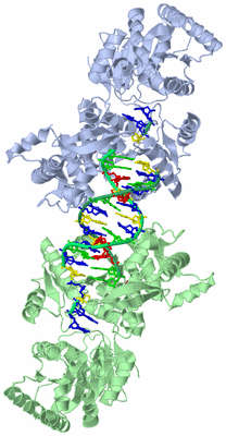 Image Biological Unit 1