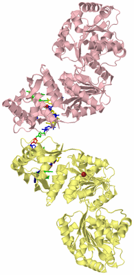 Image Biological Unit 2