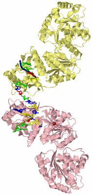 Image Biological Unit 3