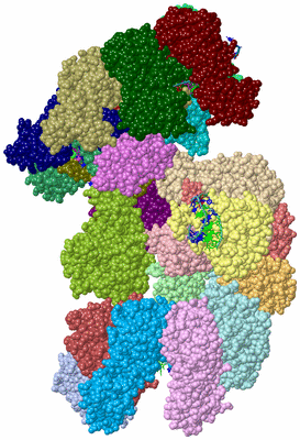 Image Biological Unit 1