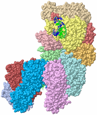 Image Biological Unit 2