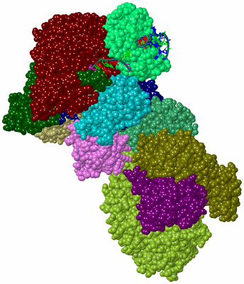 Image Biological Unit 3