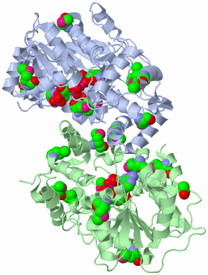 Image Asym./Biol. Unit