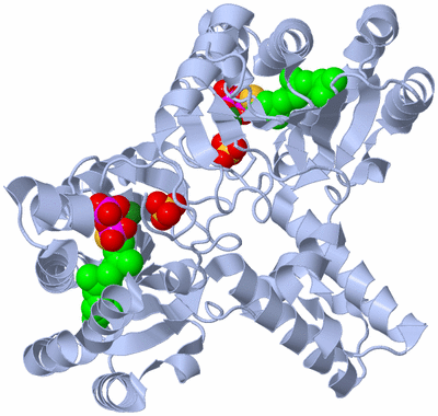 Image Biological Unit 2