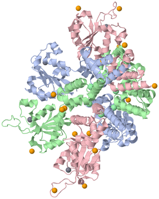 Image Biological Unit 1