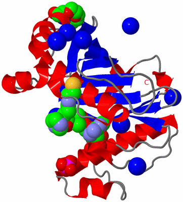 Image Asym./Biol. Unit