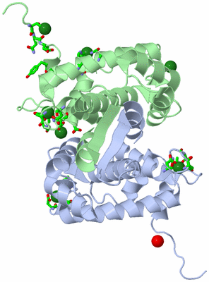 Image Asym./Biol. Unit - sites