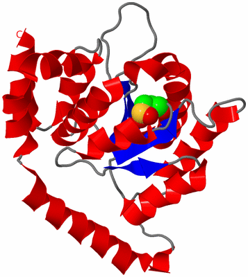 Image Asymmetric Unit