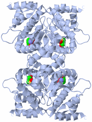 Image Biological Unit 1