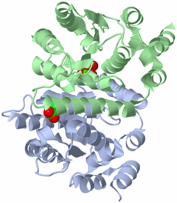 Image Asymmetric Unit